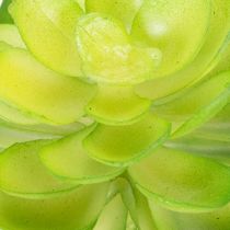 Artikel Kunstig sukkulent, grøn, til dekoration i skål eller vase, 10 cm, 4 stk.