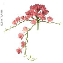 Artikel Kunstig sukkulent 28 rosetter Aeonium gammelrosa 43 cm