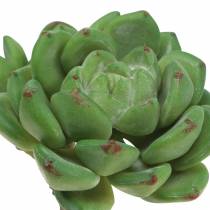 Sukkulent Echeveria kunstig grøn H15cm