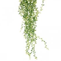 Artikel Sukkulent hængende kunstig hængeplante grøn 96cm
