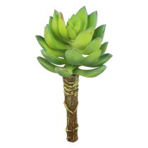 Artikel Sukkulent Echeveria Kunstig Grøn Plante Grøn Ø5,5cm 12,5cm
