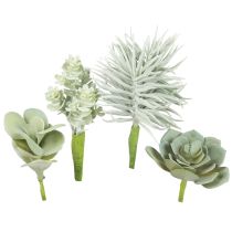 Sukkulenter Kunstig Grøn Plante Grøn Assorteret 9-18,5cm 4stk