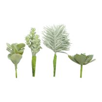 Sukkulenter Kunstig Grøn Plante Grøn Assorteret 9-18,5cm 4stk