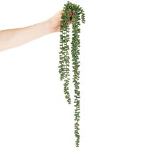 Artikel Kunstig plantehængende guirlande sukkulent dekoration stue