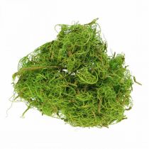 Artikel Tamarind Fiber Lysegrøn Naturfiber til Håndværk og Udsmykning 500g