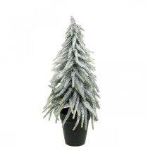 Dekorativ gran med sne, adventsdekoration, gran i potte H37cm