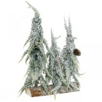Grantræer med sne, adventsdekoration, vinterskov L16,5cm H28cm
