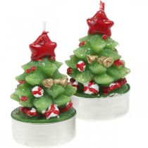 Fyrfadslys jule fyrfadsgran H6,5cm 6stk