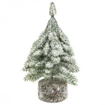 Grantræ med sne, juledekoration, dekorativ gran H14cm