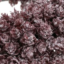 Fyrkronekrans med frostet Ø25cm bordeaux