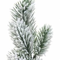 Grangren grøn sneet 39cm 8stk