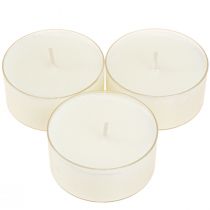 Artikel Fyrfadslys maxi med transp. Urkasse hvid 54mm 16 stk
