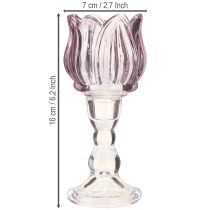 Artikel Fyrfadsglas tulipan fyrfadsstage glas lilla Ø7cm H16cm 2stk