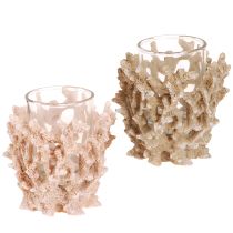 Artikel Fyrfadsstage koral dekoration maritim creme brun H9cm 2stk