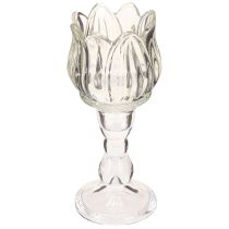 Artikel Fyrfadsstage tulipan fyrfadsglas med fod klar Ø7cm H16cm 2stk