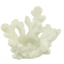 Artikel Fyrfadsstage koral dekorativ creme maritim Ø12cm H8cm