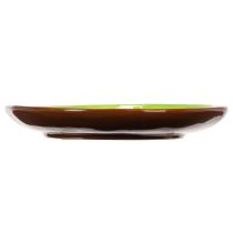 Artikel Runde keramiktallerkener med kiwi-motiv, velegnet til spisebord eller køkken, 16 cm, 2 stk.