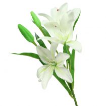 Lilje hvid 58cm