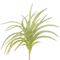 Artikel Tillandsia Grønne Kunstplanter med Pind Ø17cm 3 stk