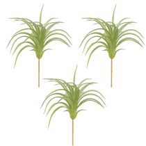 Artikel Tillandsia Grønne Kunstplanter med Pind Ø17cm 3 stk