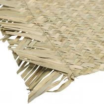Dækkeserviet søgræs rektangulær borddekoration vandhyacint natur 33 × 48cm