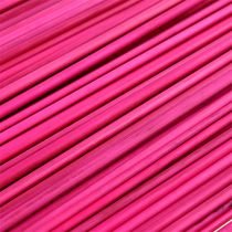 Artikel Tonkin Pink 70cm - 80cm 150 stk