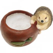 Artikel Plantekasse, æble med pindsvin, efterårsdekoration, cachepot, keramik Ø16cm H22cm B33cm