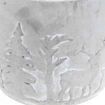 Artikel Plante med skovmotiv, vinterdekoration, planter udført i beton, Advent Ø12,5cm H11cm