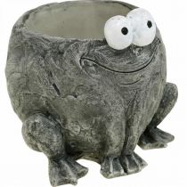 Grydeskjuler frø med smilegrå 11x12cm