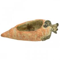 Artikel Dekorativ gulerod, betonpynt til plantning, påske, gulerodsplantepotte, forårsdekoration L28cm