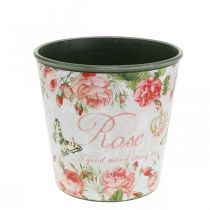 Artikel Plantekasse, spand til udplantning, plantekasse med rose H13cm Ø13,5cm