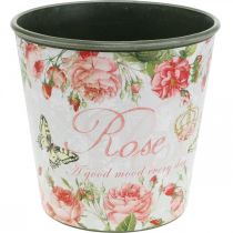 Artikel Plantekasse, spand til udplantning, plantekasse med rose H13cm Ø13,5cm