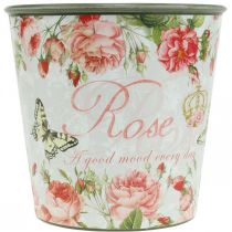 Artikel Plantekasse, spand til udplantning, plantekasse med rose H13cm Ø13,5cm