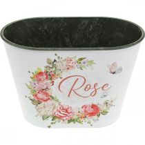 Artikel Plantekasse, dekorative potteroser, blomsterskål L19cm H12,5cm