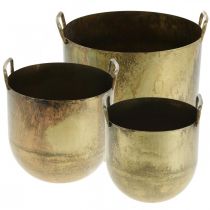 Plantekrukke i antikt udseende med metalhåndtag H17 / 19,5 / 26 cm, sæt med 3 stk.