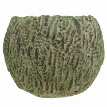 Artikel Plantekasse beton antik look grøn, brun plantekasse Ø13cm