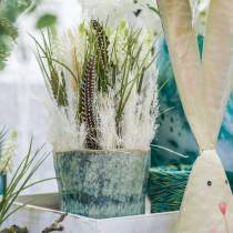 Artikel Druehyacinter i bundt hvid 30cm 15 stk