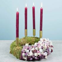 Tørrede blomster Broom Bloom Bleget 140g