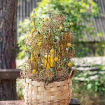 Artikel Craspedia Tørrede Blomster Trommestikker Gul 70cm 10 stk