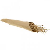 Artikel Tørrede blomster valmuefrø kapsler natur tørret vild tørret pynt bundt 100g