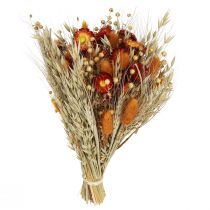 Artikel Tørrede blomster markblomster buket stråblomster orange L30cm