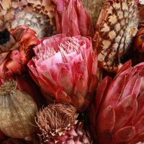 Artikel Tørrede blomsterblanding pink protea artiskokvalmue 38cm 580g
