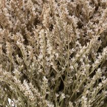 Artikel Tørrede blomster strand lavendel bundt Statice natur 1kg