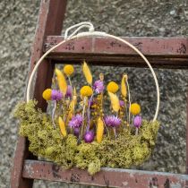 Artikel Tørrede blomster Kasketblomster Lilla stråblomster H42cm
