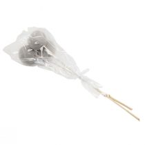 Artikel Tørrede blomster dekorative klokkekopper på stilk grå 37cm 3 stk