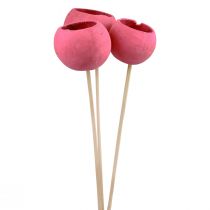 Artikel Tørrede blomster dekorative klokkekopper på stilk pink 42cm 3 stk
