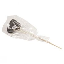 Artikel Tørrede blomster dekorative klokkekopper på stilk sort 44cm 3 stk