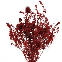 Artikel Tørret blomsterbuket tidsel dekoration i vinrød 40cm 80g