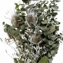 Buket tørrede blomster eukalyptus buket tidsler 45-55cm 100g