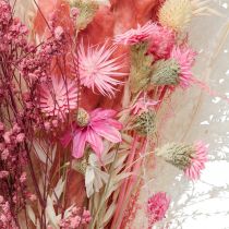 Buket tørrede blomster pink hvid phalaris masterwort 80cm 160g